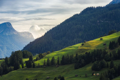Cloudy sunset on grass and woods at fiss, tirol region,  in the austrian alps