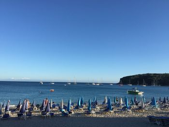 Swans on beach against clear blue sky