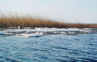 Scenic view of sea against clear sky during winter