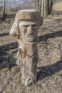 Close-up of statue against trees