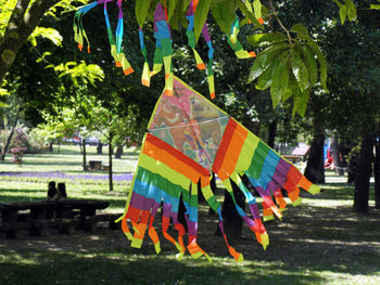 Close-up of multi colored umbrellas hanging on tree