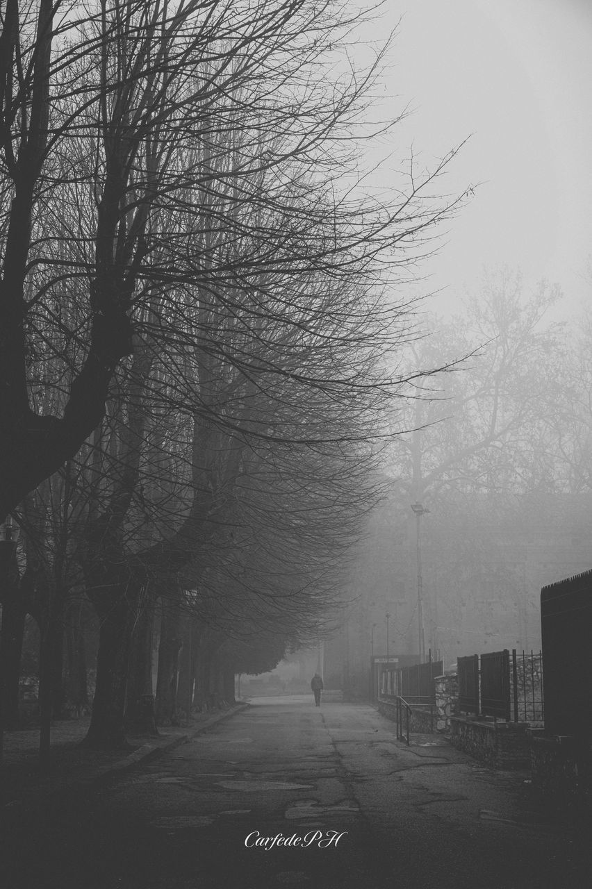 tree, black and white, fog, bare tree, morning, mist, plant, monochrome, road, nature, monochrome photography, transportation, city, darkness, no people, sign, branch, architecture, the way forward, haze, street, sky, outdoors, built structure, building exterior, day, road sign, tranquility, black, dawn