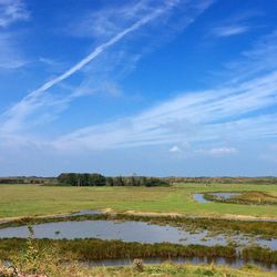 Scenic view of field against sky