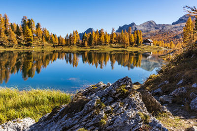 Scenic view of lake by trees against sky