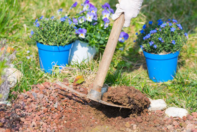 Cropped hand digging hole with pick axe in back yard