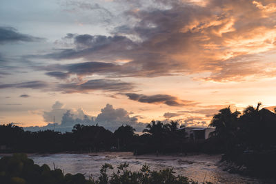 Scenic view of silhouette trees by buildings against sky during sunset