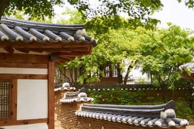 Plants growing on roof