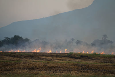 The agricultural waste burning cause of smog and pollution