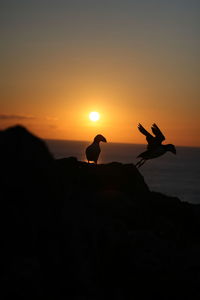 Sunset on skomer island, wales