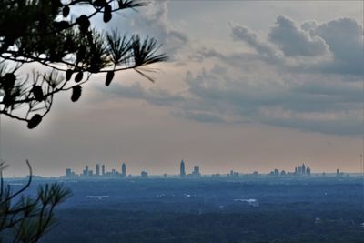 Trees and buildings against sky during sunset