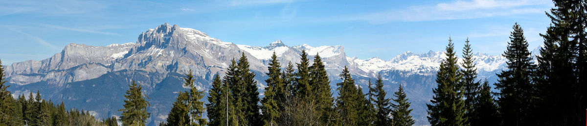 View of trees with mountains in background