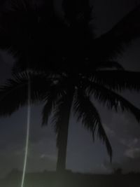 Low angle view of silhouette palm trees against sky at sunset