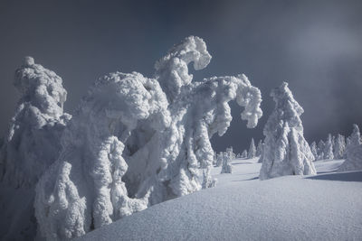 Mountain landscapes in the cold winter season from carpathians, romania.