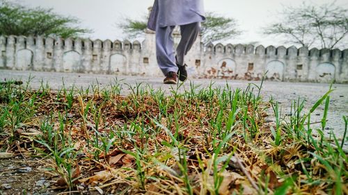 Low section of man walking on field