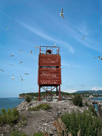 Seagull flying over sea against blue sky