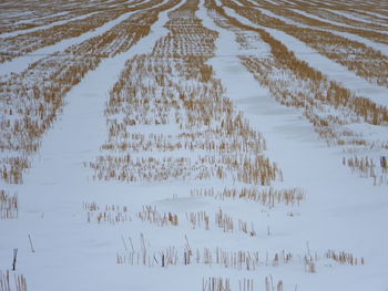 High angle view of snow covered land