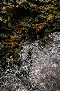 High angle view of water flowing through rocks