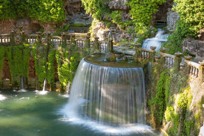 Fountain in garden