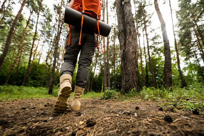 The woman is engaged in hiking in a pine forest. close-up of legs,