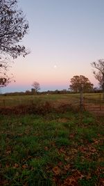 Scenic view of field against sky during sunset