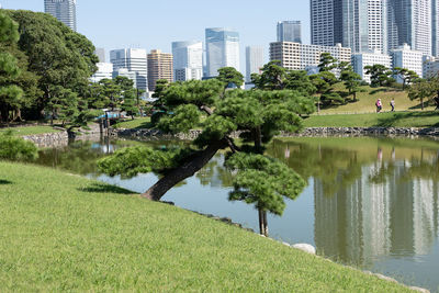 Trees growing in park by lake against buildings in city