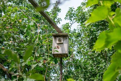 Low angle view of birdhouse on tree