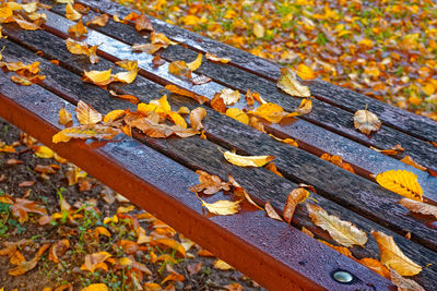 High angle view of dry leaves on wooden bench