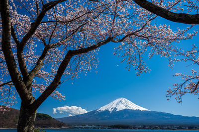 View of snow covered mountain against sky