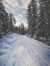 Snow covered land by trees against sky