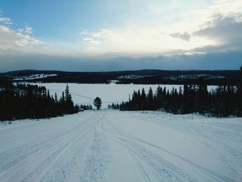 Scenic view of snow covered landscape