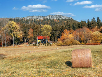 Trees on field against sky during autumn