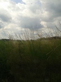 Scenic view of grassy field against cloudy sky