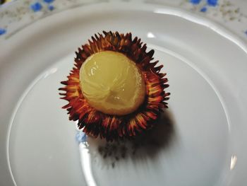 High angle view of cupcakes on plate