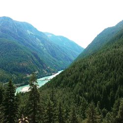 Scenic view of pine trees and mountains against sky