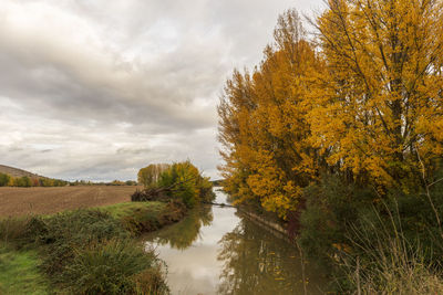 Trees by lake against sky during autumn