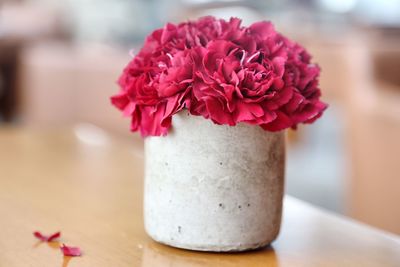 Close-up of flower on table