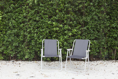 Two beach chair with tropical wallpaper background.