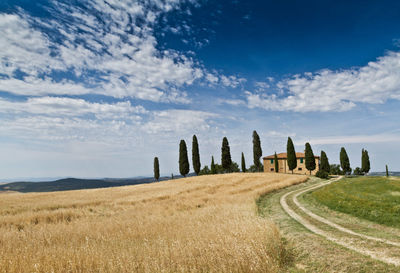 Panoramic view of field against cloudy sky