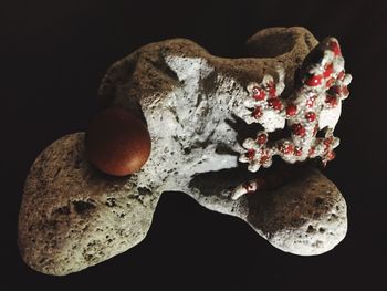 Close up of decoration on black background