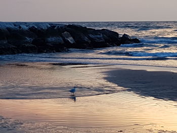 Scenic view of rocks on beach against sky