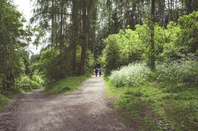 Mid distant view of people walking on footpath in forest
