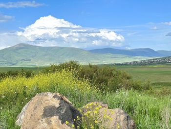 Scenic view of landscape against sky