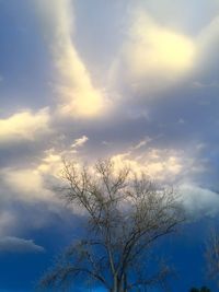 Low angle view of bare tree against sky