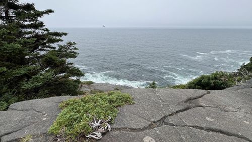 sea