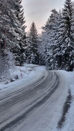 Scenic view of snow covered landscape