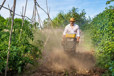 Middle aged gardener in casual wear and straw hat using motor cultivator while standing between colorful lush tomato shrubs under blue sky
