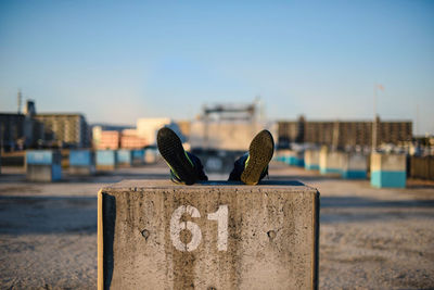 Close-up of plant on beach against sky