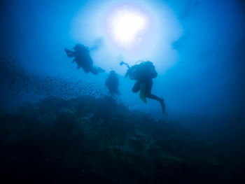 People swimming in sea