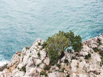 High angle view of rocks by sea