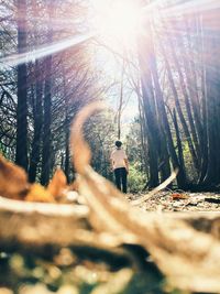 Low angle view of woman in forest